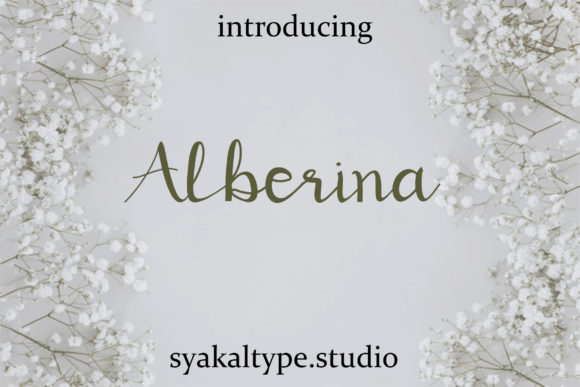 Alberina: The Font That Elevates Your Brand’s Visual Story