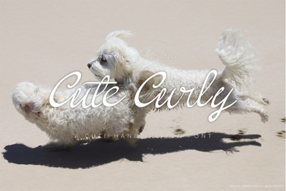 Cute Curly: A Font for Heartfelt Design