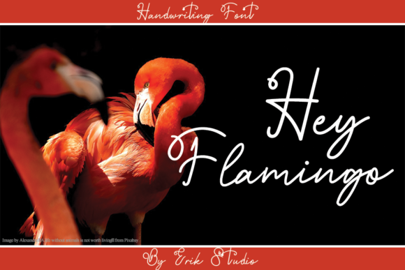 Hey Flamingo: A Timeless Script Handwritten Font for Editorial Design