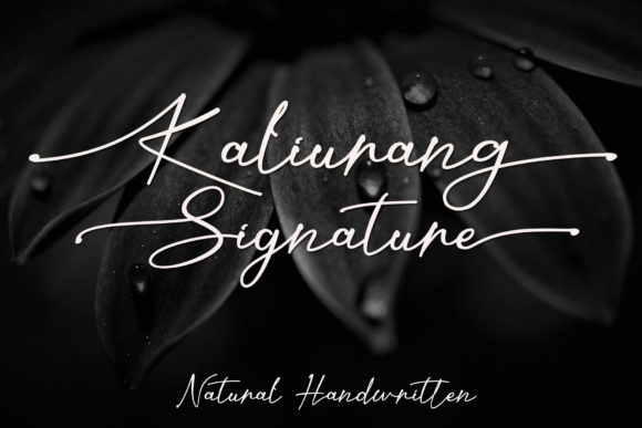 Kaliurang Signature: A Font That Elevates Your Brand’s Visual Story