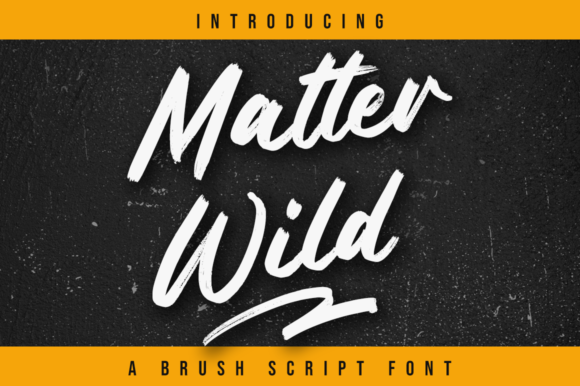 Matter Wild: A Script Font for Editorial Elegance