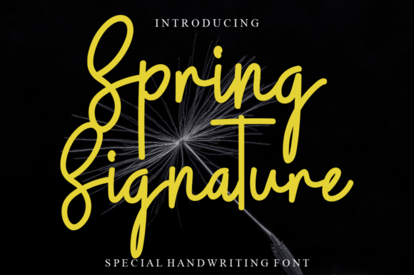 Spring Signature: A Font for Timeless Editorial Charm