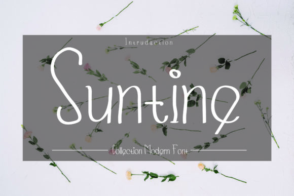 Suntine: A Script Handwritten Font That Elevates Your Brand